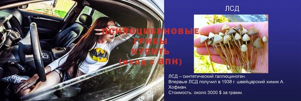 дурь Баксан