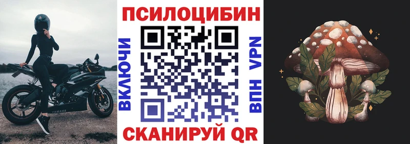 где продают   Ленинск-Кузнецкий  Галлюциногенные грибы Cubensis 